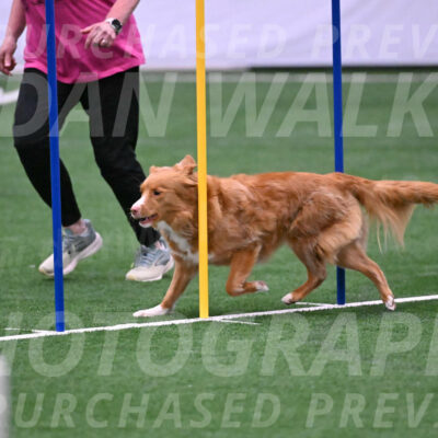 Basil-Cindy-Fink-06285