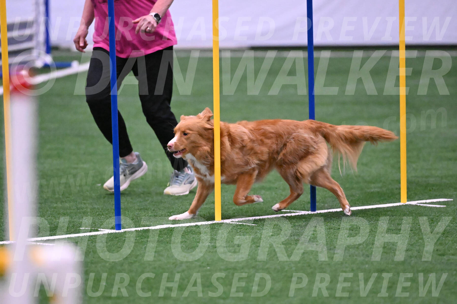 Basil-Cindy-Fink-06285