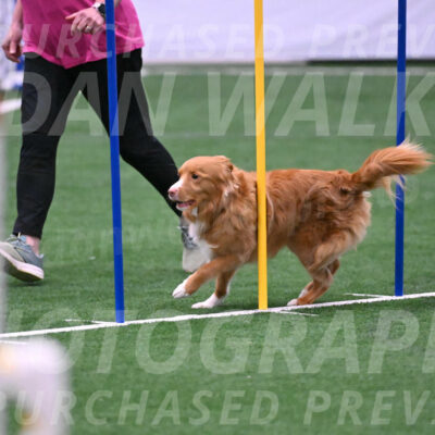 Basil-Cindy-Fink-06286