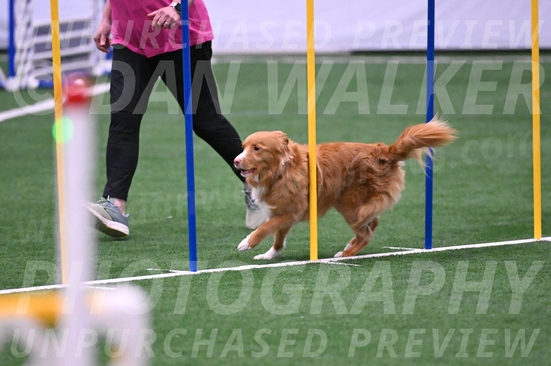 Basil-Cindy-Fink-06286