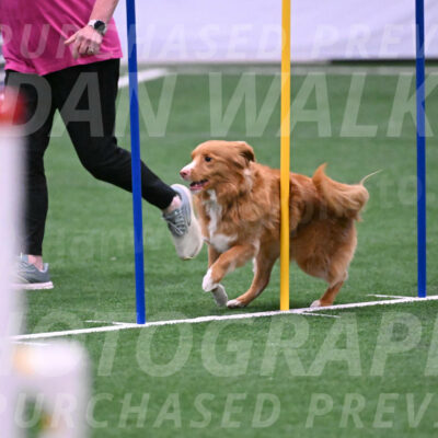 Basil-Cindy-Fink-06287