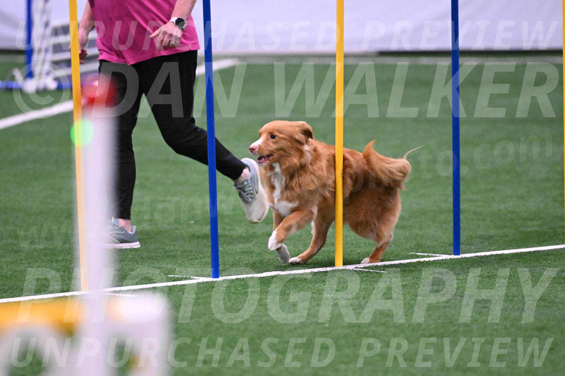 Basil-Cindy-Fink-06287