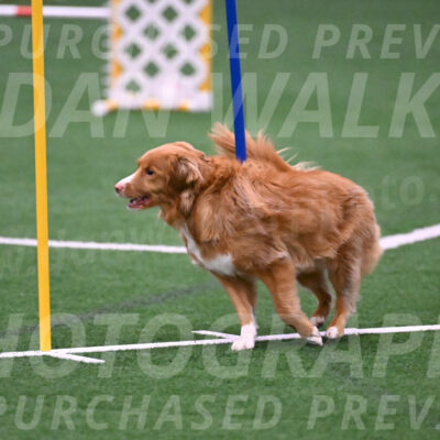 Basil-Cindy-Fink-06295