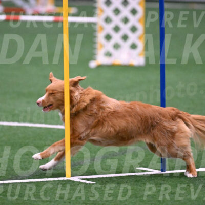 Basil-Cindy-Fink-06297