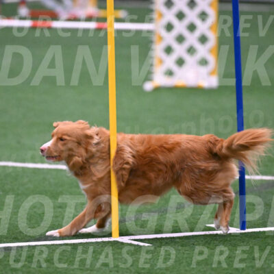 Basil-Cindy-Fink-06298