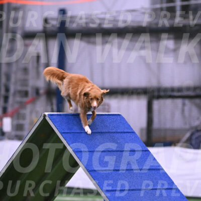 Basil-Cindy-Fink-06392