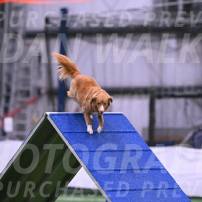 Basil-Cindy-Fink-06393
