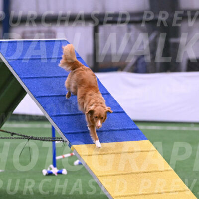 Basil-Cindy-Fink-06394
