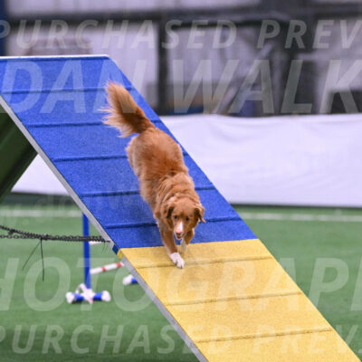 Basil-Cindy-Fink-06395