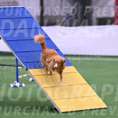 Basil-Cindy-Fink-06396