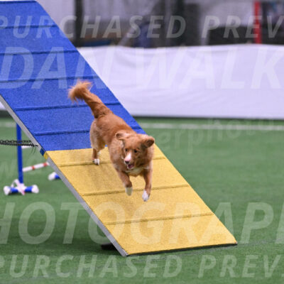 Basil-Cindy-Fink-06397