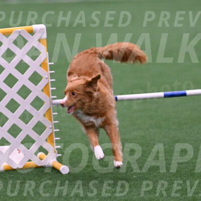 Basil-Cindy-Fink-06405
