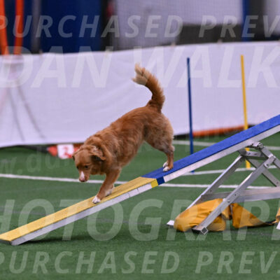 Basil-Cindy-Fink-06454