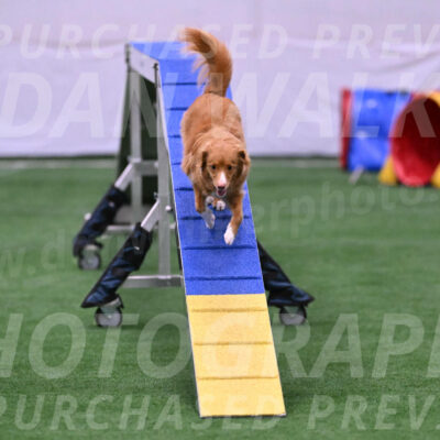 Basil-Cindy-Fink-06461