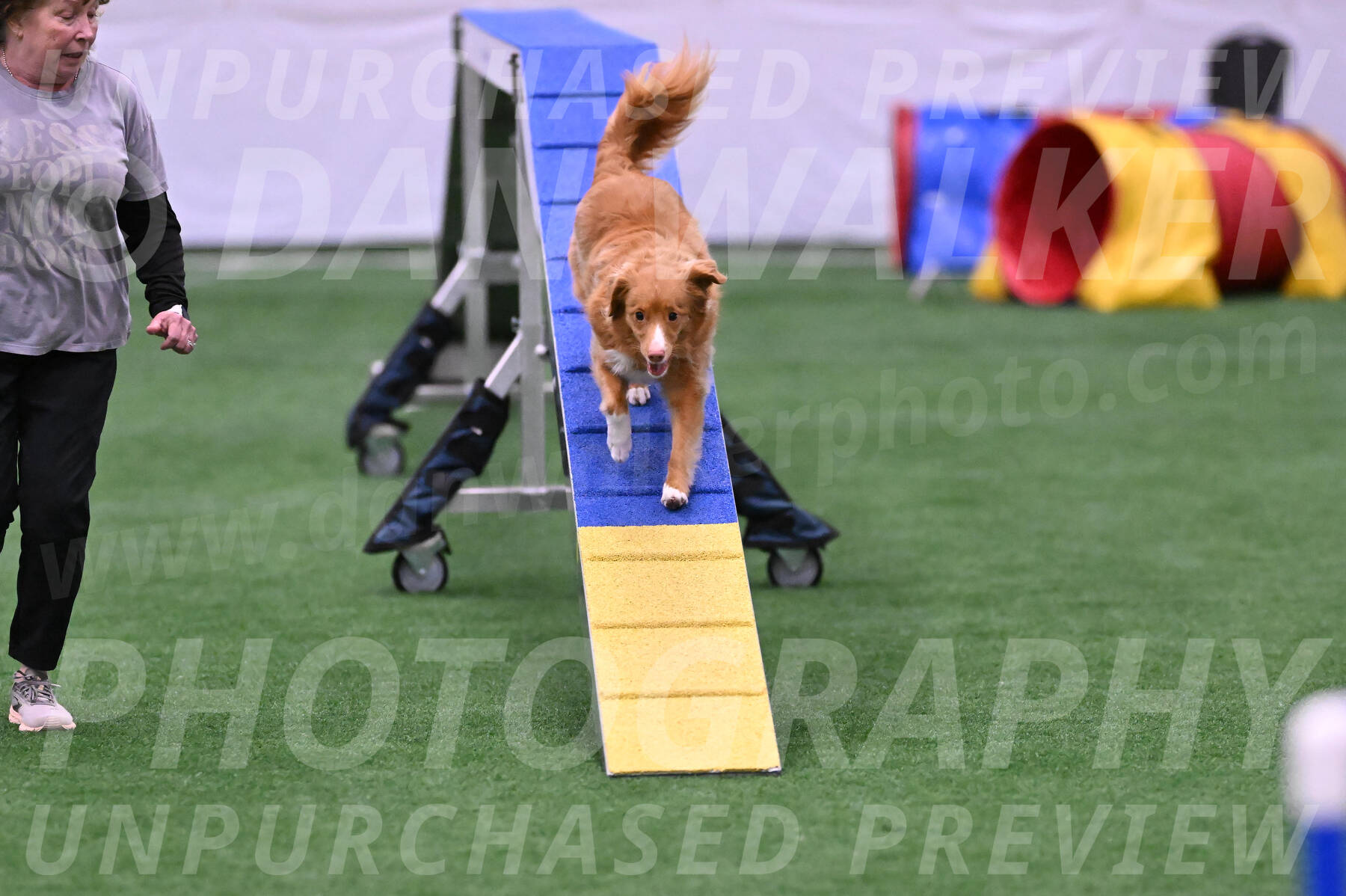 Basil-Cindy-Fink-06462