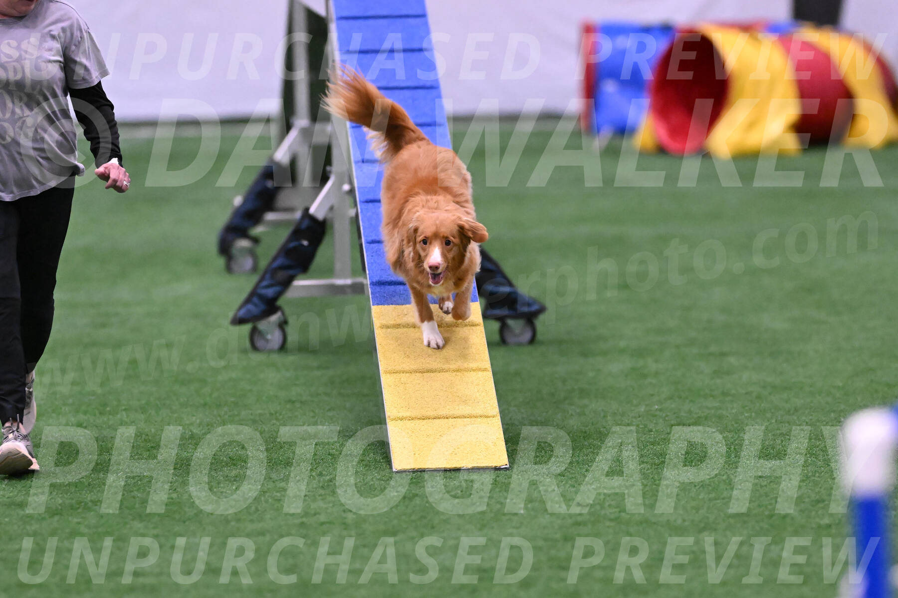 Basil-Cindy-Fink-06463