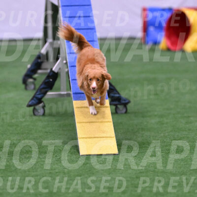 Basil-Cindy-Fink-06463