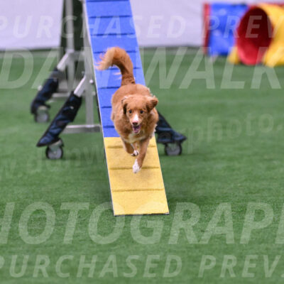 Basil-Cindy-Fink-06464
