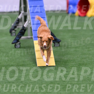 Basil-Cindy-Fink-06465