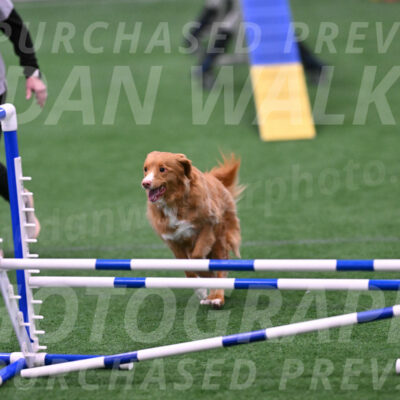 Basil-Cindy-Fink-06470