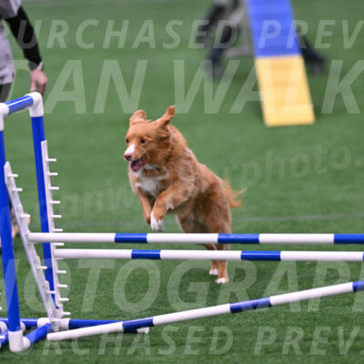 Basil-Cindy-Fink-06471