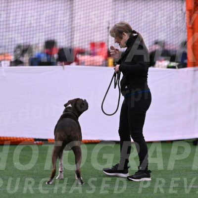 Bentley-Katherine-Mc-Carty-24785