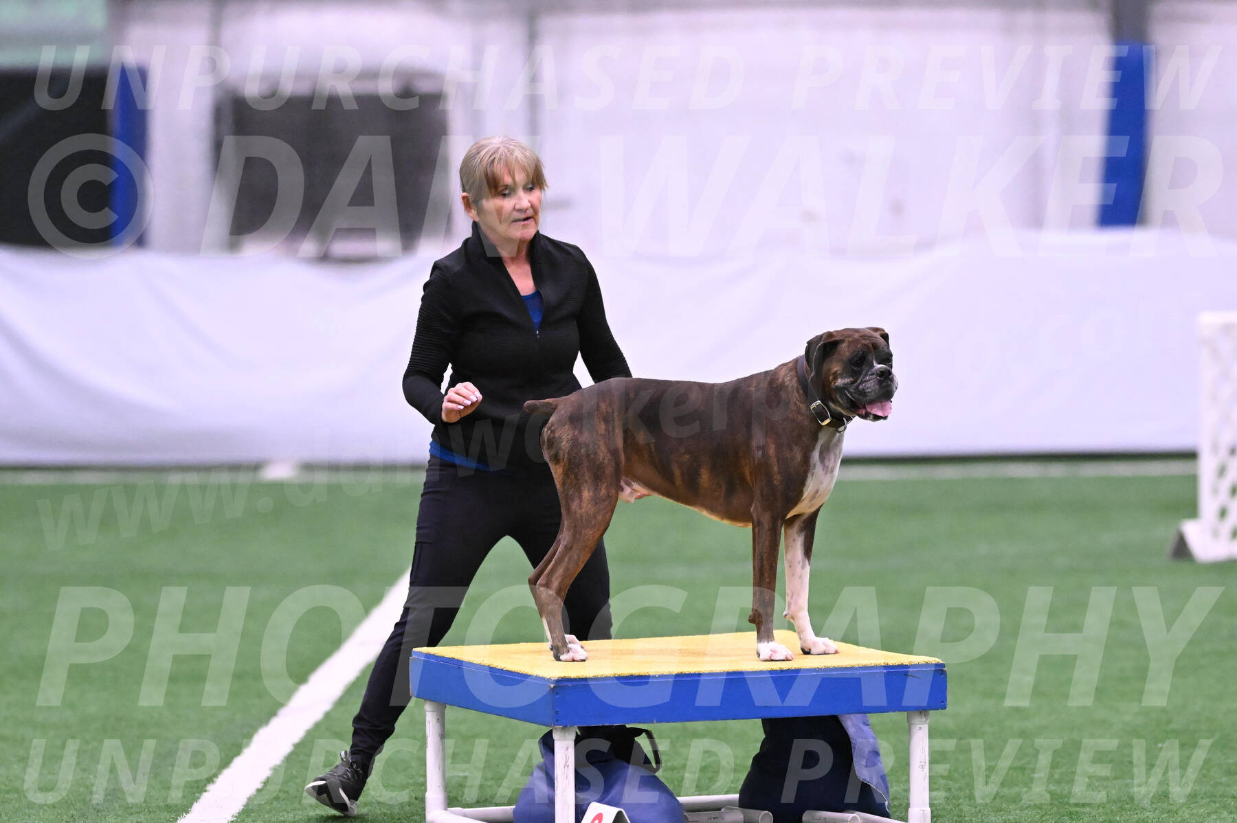 Bentley-Katherine-Mc-Carty-24816