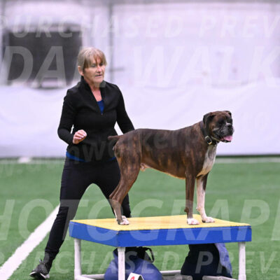 Bentley-Katherine-Mc-Carty-24817