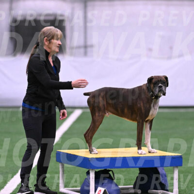 Bentley-Katherine-Mc-Carty-24819