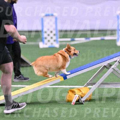 Bernie-Grace-Newell-23144