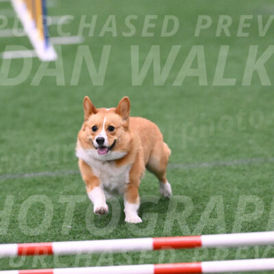 Bernie-Grace-Newell-23229