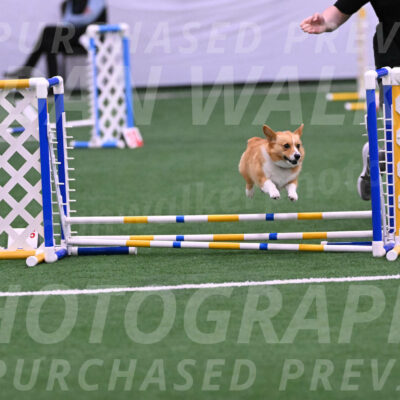 Bernie-Grace-Newell-23241