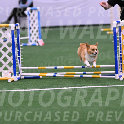 Bernie-Grace-Newell-23242