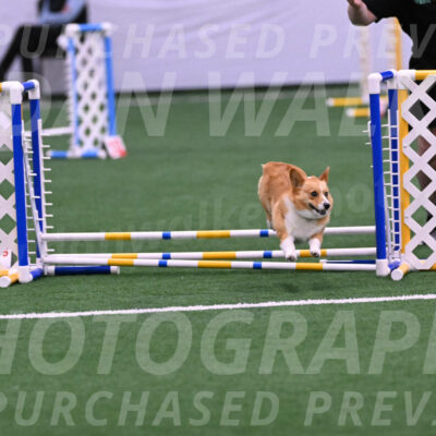Bernie-Grace-Newell-23243