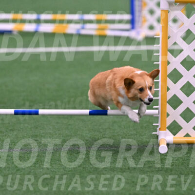 Bernie-Grace-Newell-23250