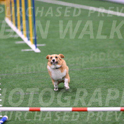 Bernie-Grace-Newell-23290