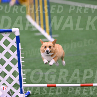 Bernie-Grace-Newell-23295