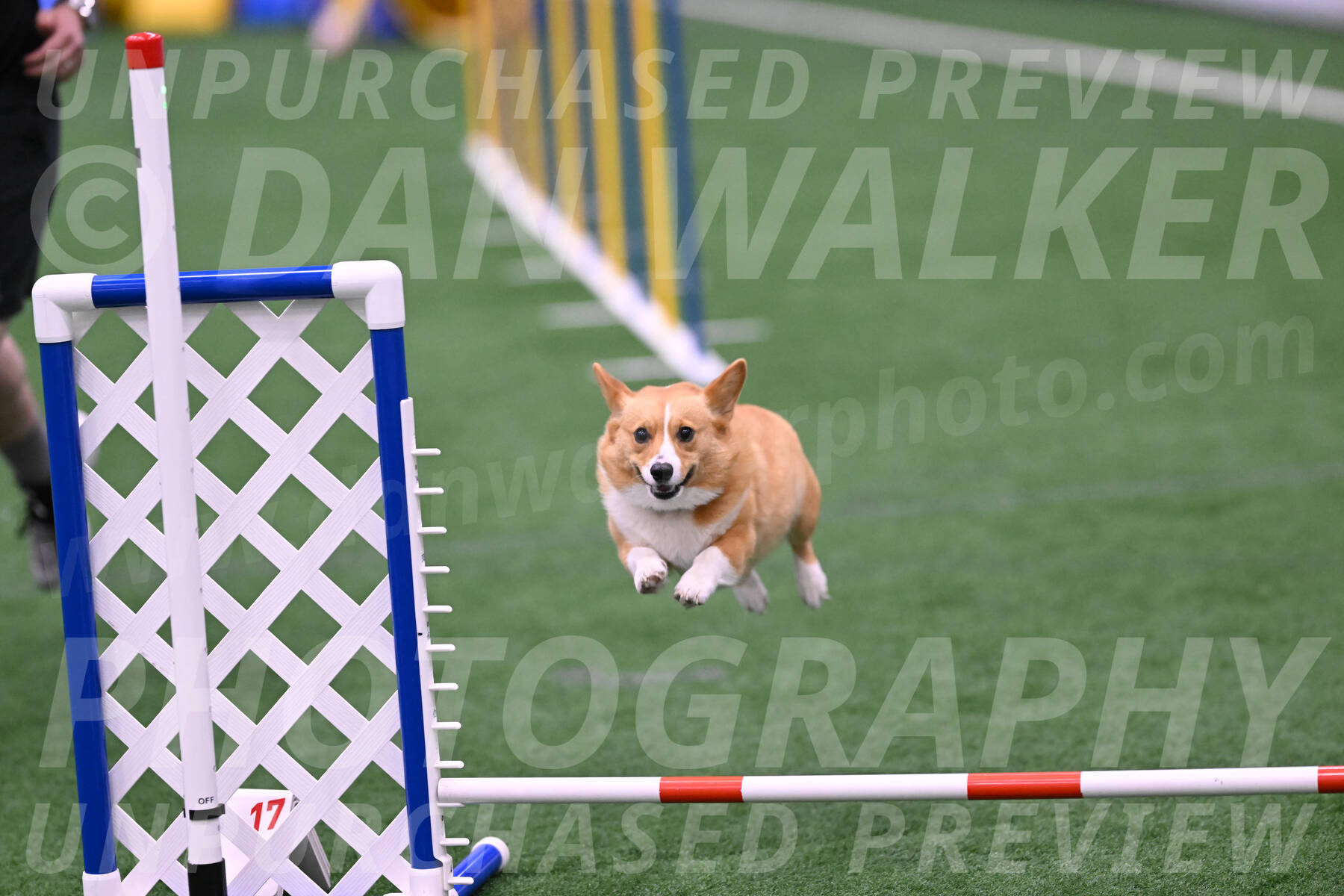 Bernie-Grace-Newell-23295