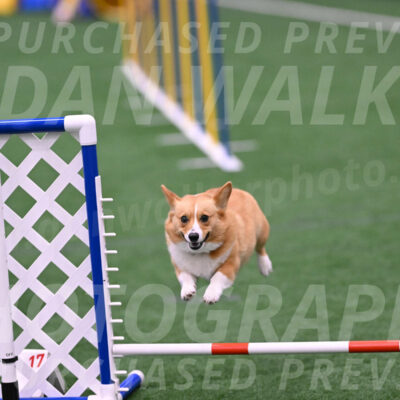 Bernie-Grace-Newell-23296