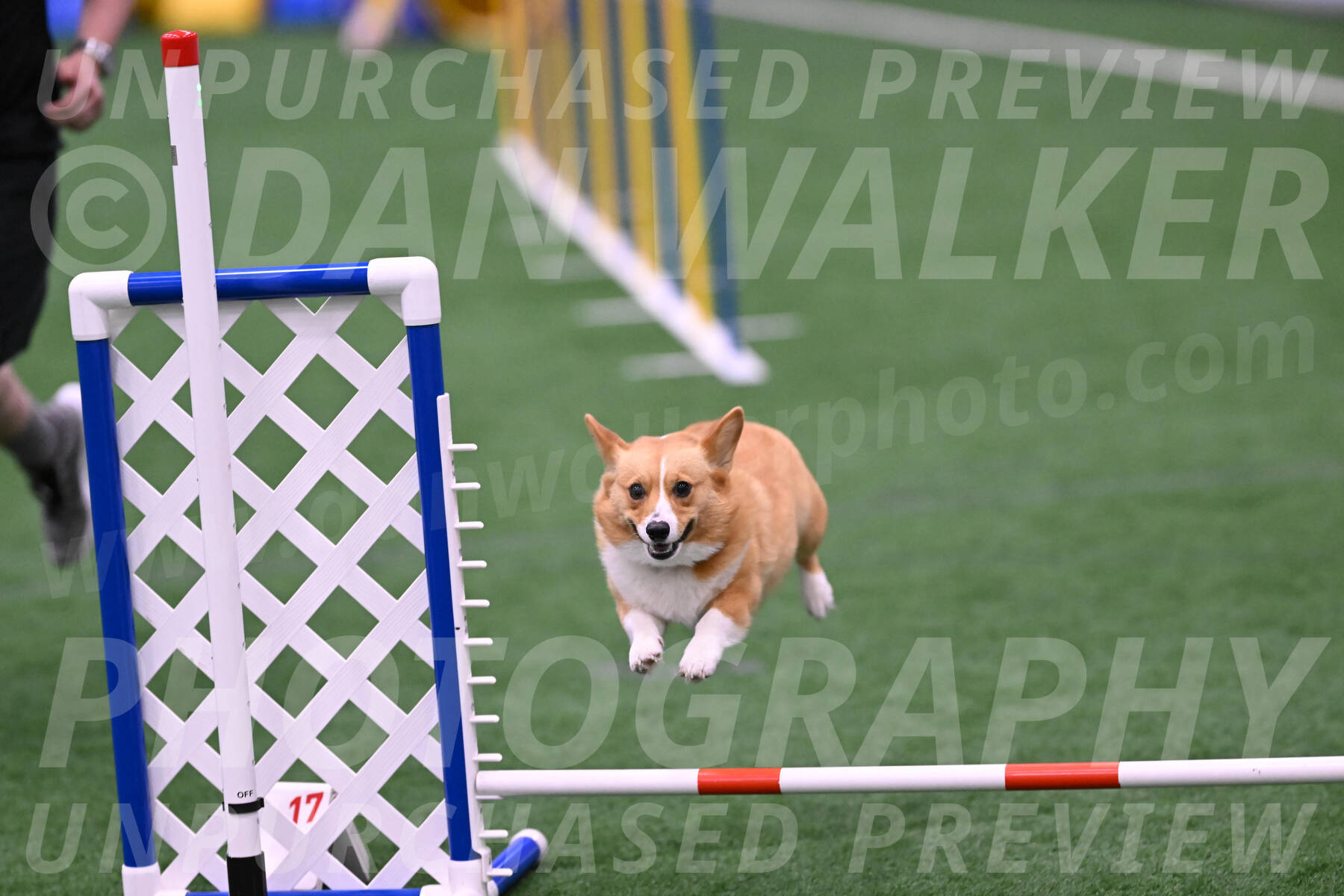 Bernie-Grace-Newell-23296