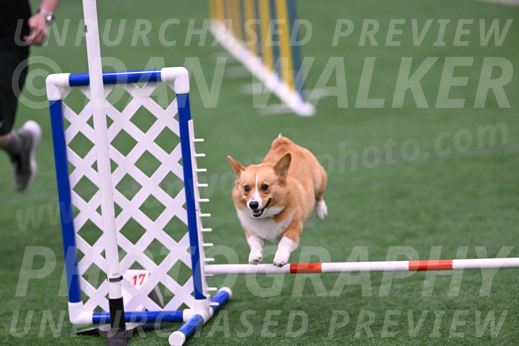 Bernie-Grace-Newell-23297