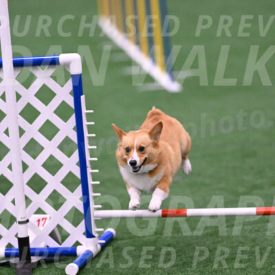 Bernie-Grace-Newell-23297