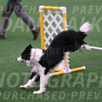 Bernie-Judy-Roback-08108