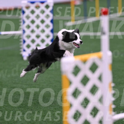 Bernie-Judy-Roback-08124