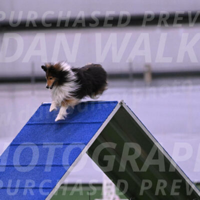 Bolt-Julie-Dunn-09285