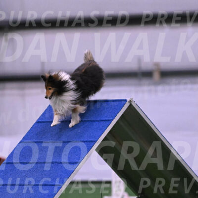 Bolt-Julie-Dunn-09286
