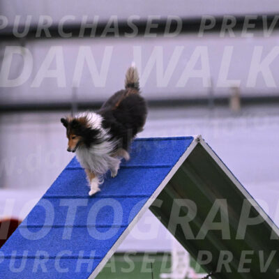 Bolt-Julie-Dunn-09287