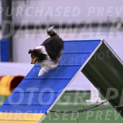 Bolt-Julie-Dunn-09289