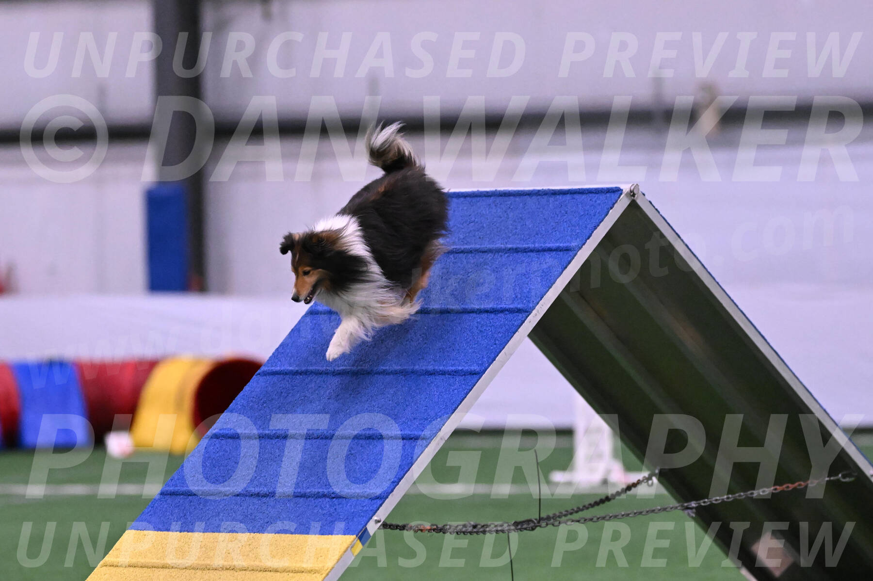Bolt-Julie-Dunn-09289