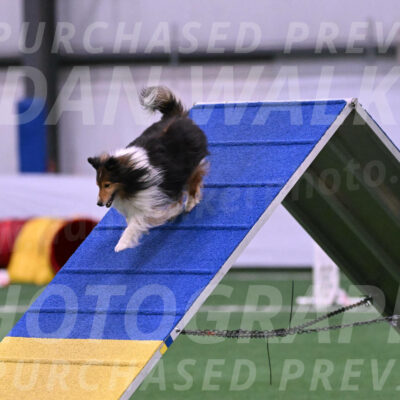 Bolt-Julie-Dunn-09290